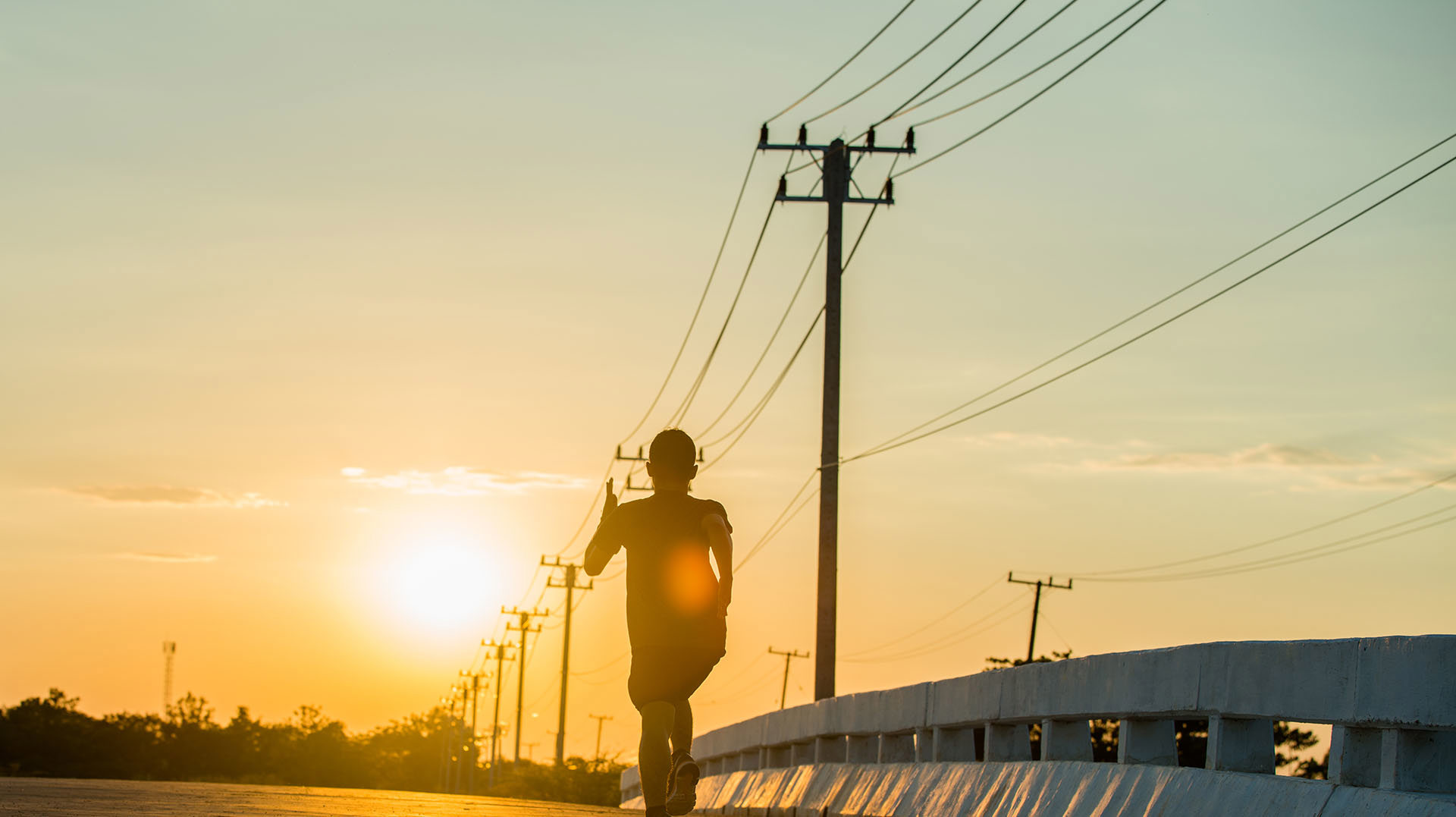 The Future of Power Distribution: Covered Conductors by Home Guard