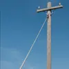 Stay Wires for Utility, Telecom & Construction